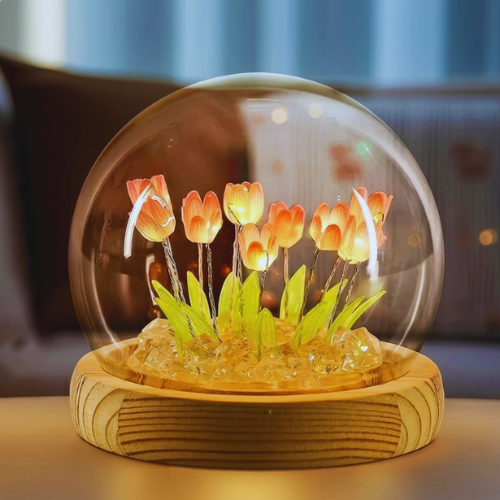 LED Tulip Crystal Dome Lamp